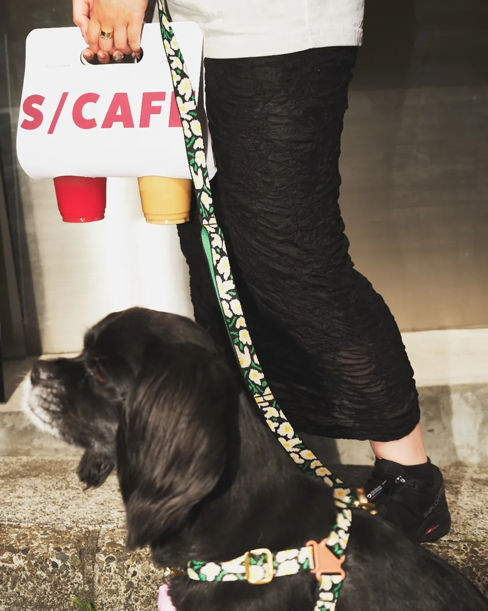 S/CAFEのテイクアウトを持って、愛犬と散歩するひととき